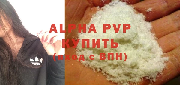 дмт Инта