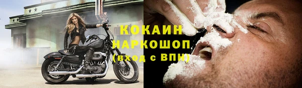 дмт Инта