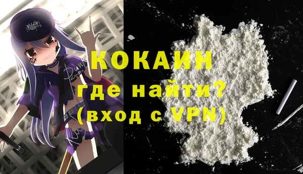 дмт Инта