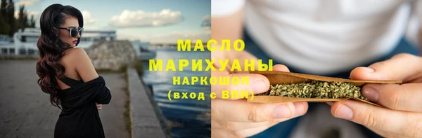 дмт Инта