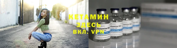 дмт Инта