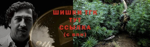 дмт Инта