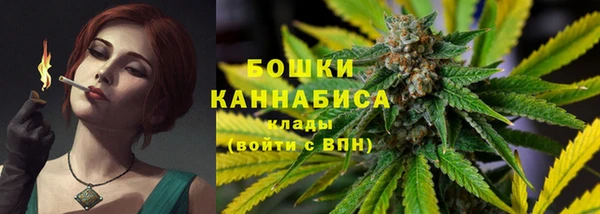 дмт Инта