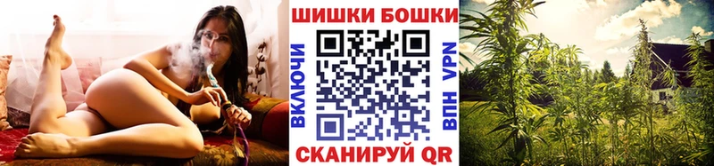Купить  Городовиковск  Бошки Шишки ГИДРОПОН 